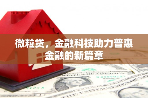 万秀微粒贷，金融科技助力普惠金融的新篇章