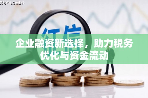 临潭企业融资新选择，助力税务优化与资金流动