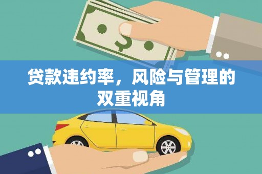韶关贷款违约率，风险与管理的双重视角