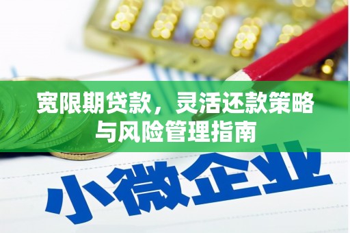 海原宽限期贷款，灵活还款策略与风险管理指南