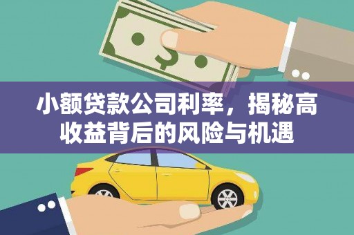 洪雅小额贷款公司利率，揭秘高收益背后的风险与机遇
