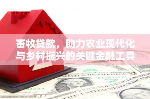 中正畜牧贷款，助力农业现代化与乡村振兴的关键金融工具