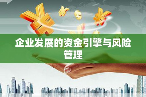 大涌企业发展的资金引擎与风险管理