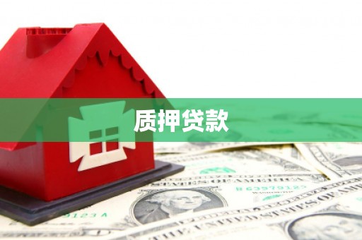 汤原质押贷款