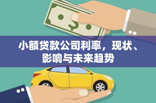 梅河口小额贷款公司利率，现状、影响与未来趋势