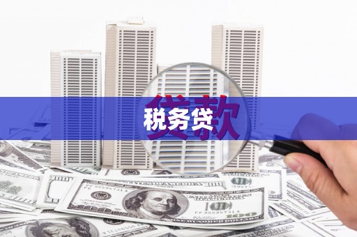 雨山税务贷