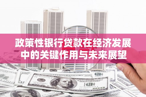 大溪政策性银行贷款在经济发展中的关键作用与未来展望