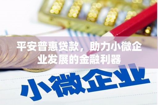 大溪平安普惠贷款，助力小微企业发展的金融利器