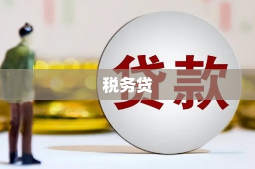 成华税务贷
