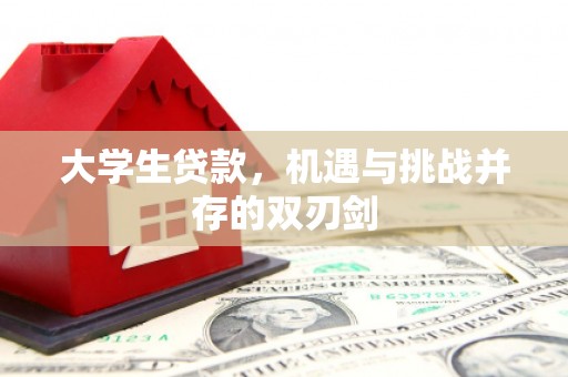 阳泉大学生贷款，机遇与挑战并存的双刃剑