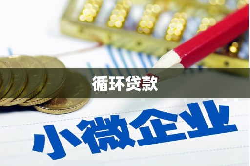庄浪循环贷款