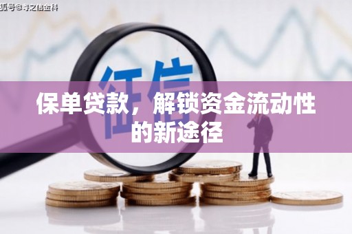 惠安保单贷款，解锁资金流动性的新途径