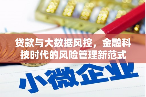 石龙贷款与大数据风控，金融科技时代的风险管理新范式