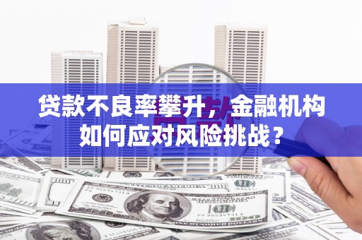 武邑贷款不良率攀升，金融机构如何应对风险挑战？