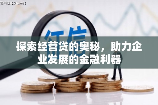 平陆探索经营贷的奥秘，助力企业发展的金融利器