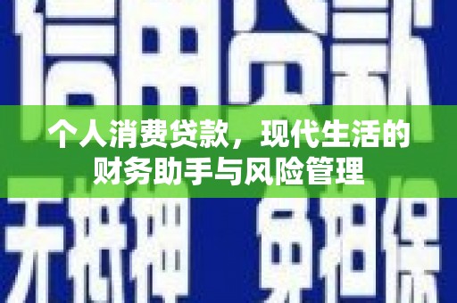 阜宁个人消费贷款，现代生活的财务助手与风险管理