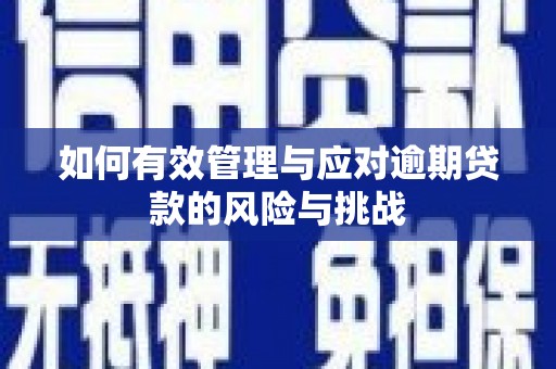 后里如何有效管理与应对逾期贷款的风险与挑战