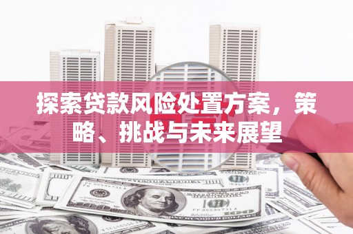 澎湖探索贷款风险处置方案，策略、挑战与未来展望