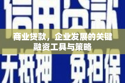 阿莲商业贷款，企业发展的关键融资工具与策略