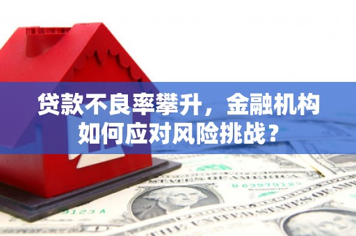 凉山贷款不良率攀升，金融机构如何应对风险挑战？
