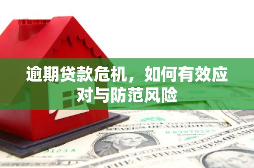 薛城逾期贷款危机，如何有效应对与防范风险