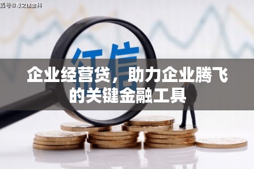 浑南企业经营贷，助力企业腾飞的关键金融工具