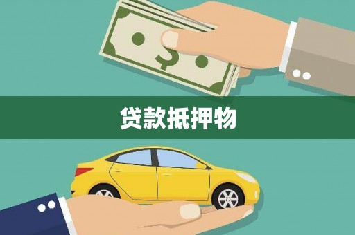 田林贷款抵押物
