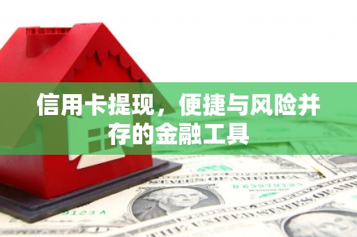 民丰信用卡提现，便捷与风险并存的金融工具