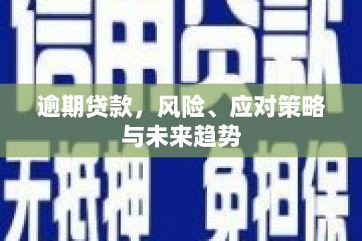 镇安逾期贷款，风险、应对策略与未来趋势