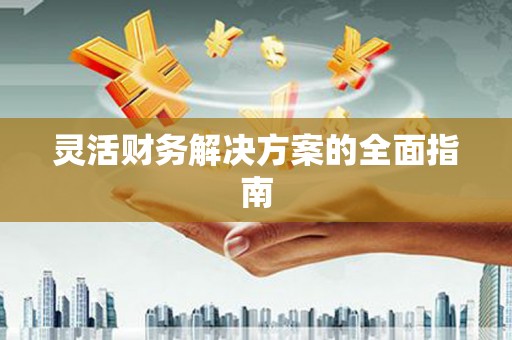 洪雅灵活财务解决方案的全面指南