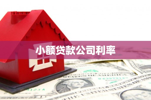 茂林小额贷款公司利率