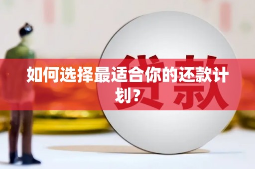 疏附如何选择最适合你的还款计划？