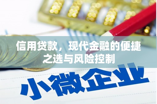 囊谦信用贷款，现代金融的便捷之选与风险控制