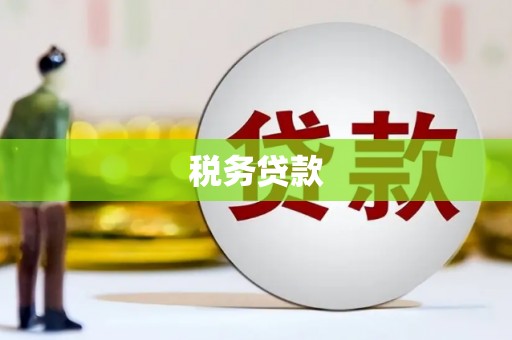 凤林税务贷款