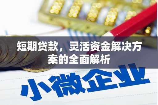 三民短期贷款，灵活资金解决方案的全面解析