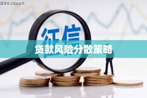 南涧贷款风险分散策略