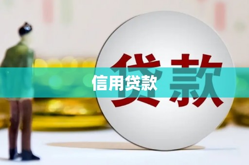 驻马店信用贷款