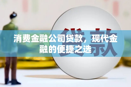 东明消费金融公司贷款，现代金融的便捷之选