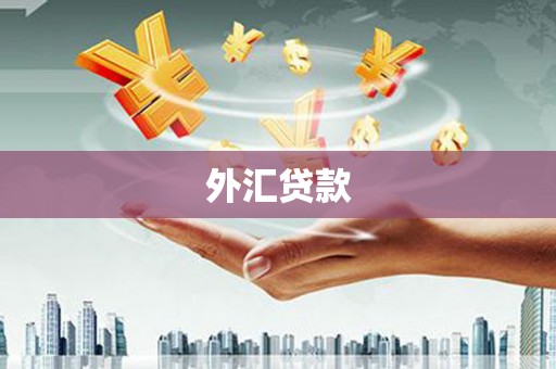天津外汇贷款