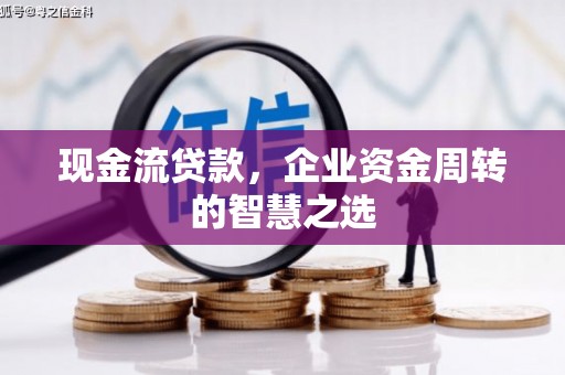 苍南现金流贷款，企业资金周转的智慧之选