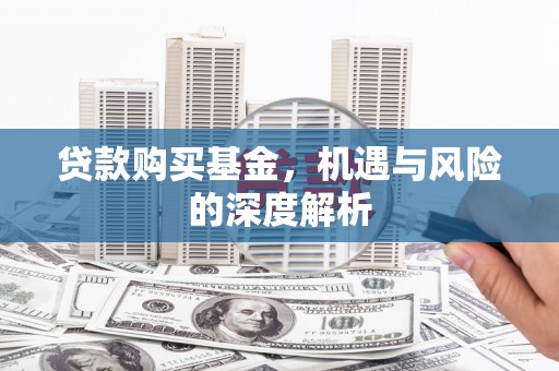 临渭贷款购买基金，机遇与风险的深度解析