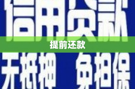 张店提前还款