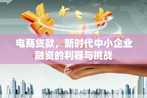 顺庆电商贷款，新时代中小企业融资的利器与挑战