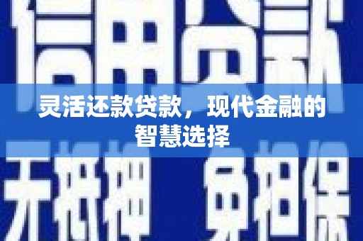 海盐灵活还款贷款，现代金融的智慧选择