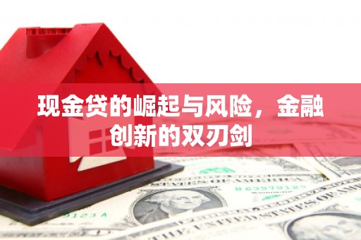 崇左现金贷的崛起与风险，金融创新的双刃剑