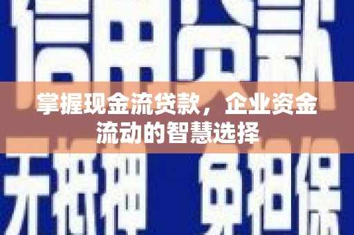 圣方济各堂区掌握现金流贷款，企业资金流动的智慧选择