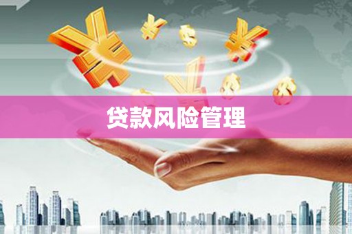 圣方济各堂区贷款风险管理