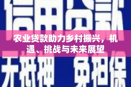 盖州农业贷款助力乡村振兴，机遇、挑战与未来展望