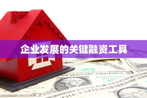 邕宁企业发展的关键融资工具