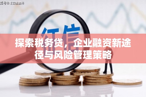 连云探索税务贷，企业融资新途径与风险管理策略